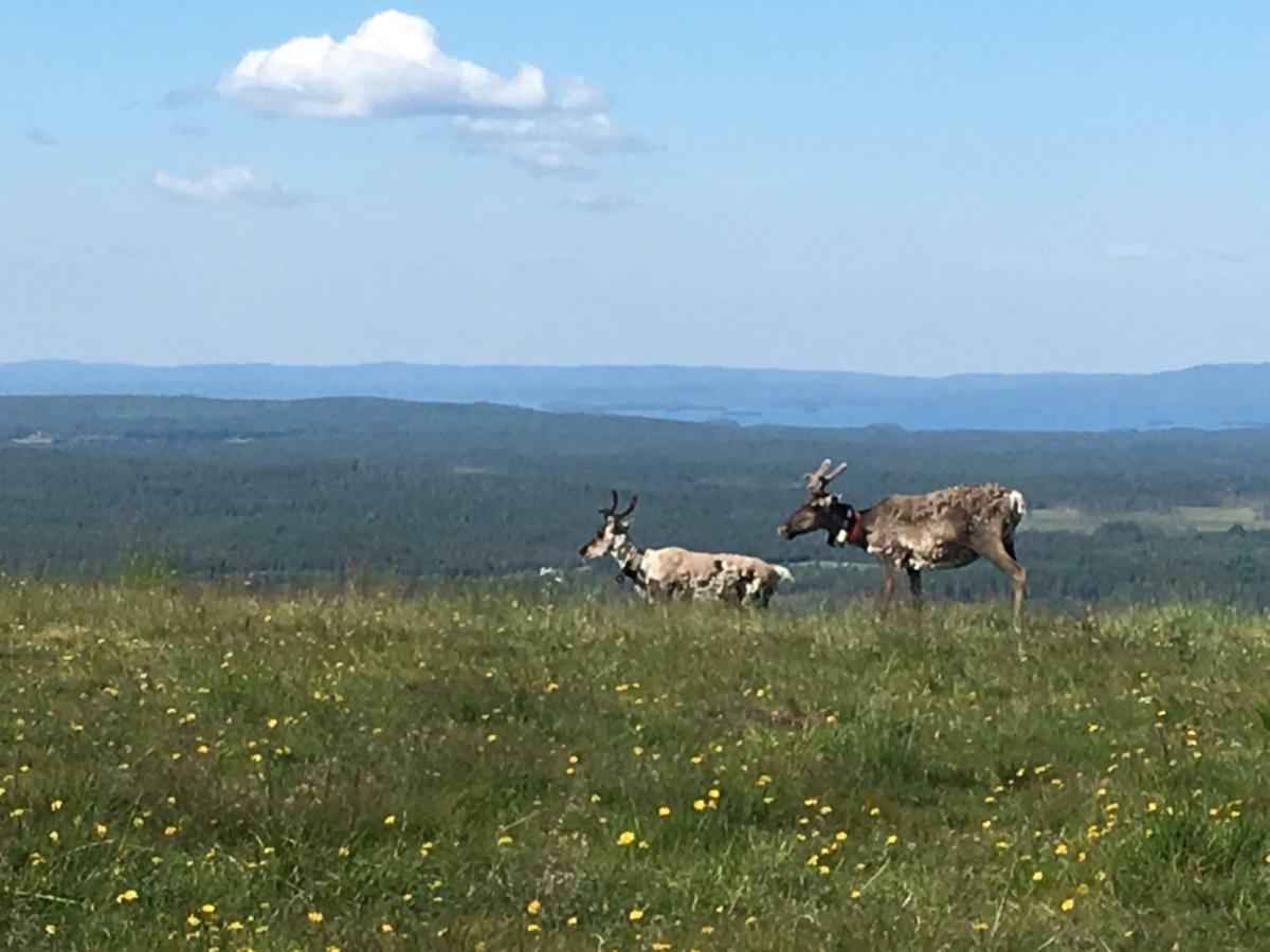 Rukansalmi Ruka